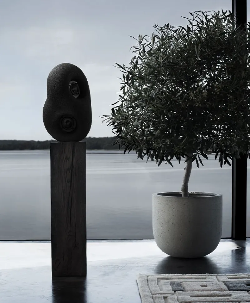 Transparent Technik Und Sound|Kunst Und Skulpturen|Acoustic Sculpture Speaker