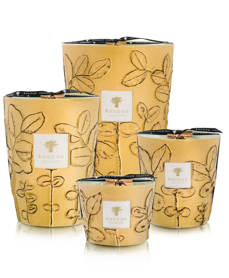 Baobab Collection Duftkerzen|Baobab Duftkerze Folia Garrigue