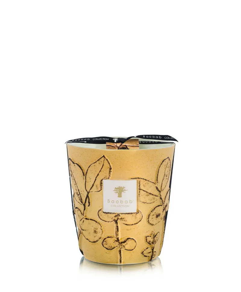 Baobab Collection Duftkerzen|Baobab Duftkerze Folia Garrigue