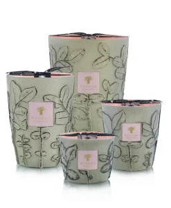 Baobab Collection Duftkerzen|Baobab Duftkerze Folia Maquis