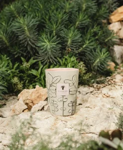 Baobab Collection Duftkerzen|Baobab Duftkerze Folia Maquis