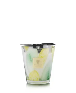 Baobab Collection Duftkerzen|Baobab Duftkerze Riviera Santo Sospir