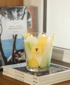 Baobab Collection Duftkerzen|Baobab Duftkerze Riviera Santo Sospir