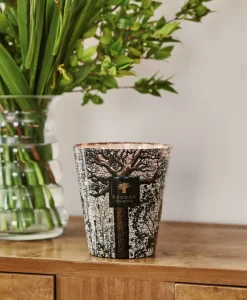 Baobab Collection Duftkerzen|Baobab Duftkerze Sacred Trees Morondo