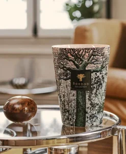 Baobab Collection Duftkerzen|Baobab Duftkerze Sacred Trees Morondo