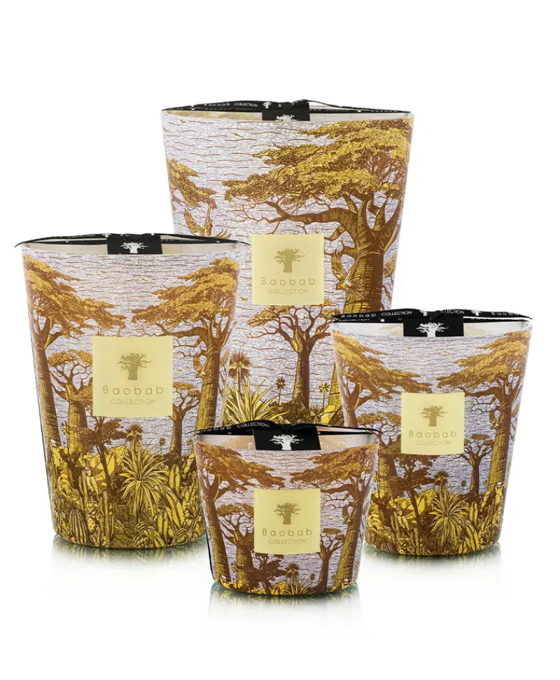Baobab Collection Duftkerzen|Baobab Duftkerze Sacred Trees Cocody