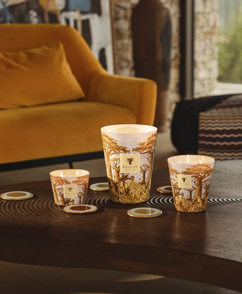Baobab Collection Duftkerzen|Baobab Duftkerze Sacred Trees Cocody