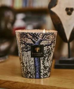 Baobab Collection Duftkerzen|Baobab Duftkerze Sacred Trees Kani
