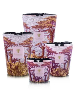 Baobab Collection Duftkerzen|Baobab Duftkerze Sacred Trees Massasso