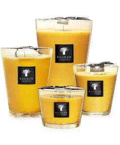 Baobab Collection Duftkerzen|Baobab Duftkerze Zanzibar Spices