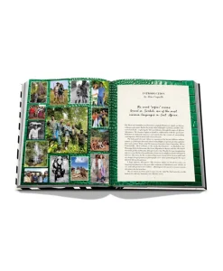 Assouline Bücher Und Bildbände|Bildband African Adventures: The Greatest Safari on Earth