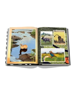 Assouline Bücher Und Bildbände|Bildband African Adventures: The Greatest Safari on Earth