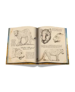 Assouline Ultimate Collection Von Assouline|Bücher Und Bildbände|Bildband Arabian Leopard Ultimate Edition