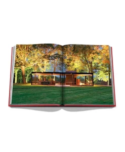 Assouline Bücher Und Bildbände|Bildband Bauhaus Style