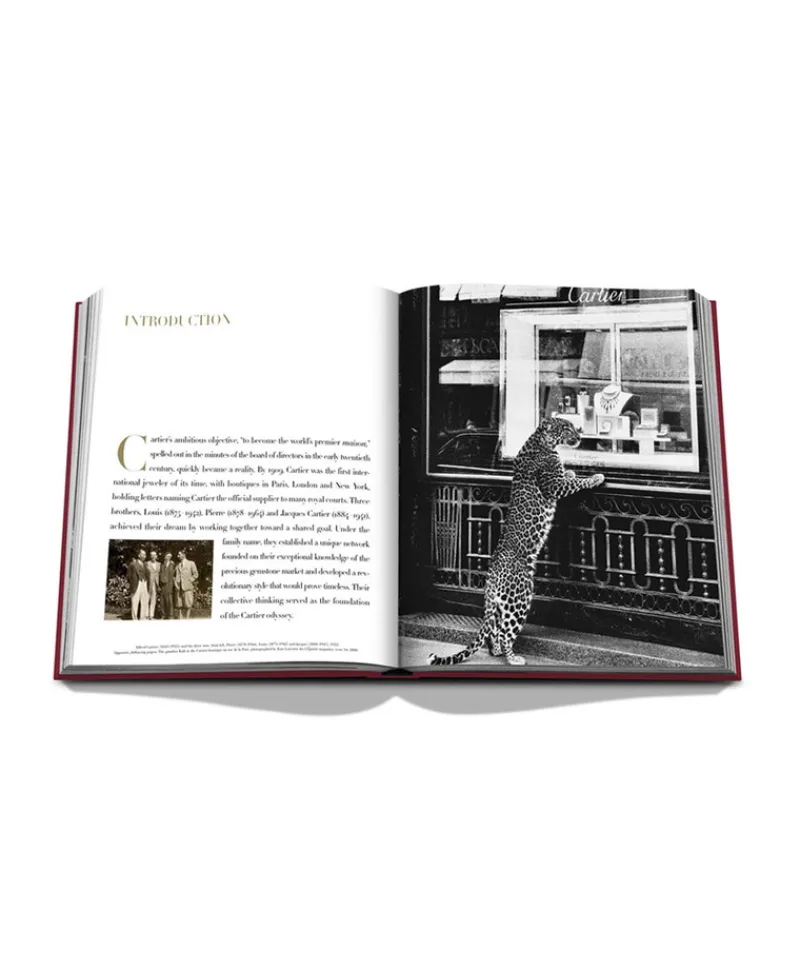 Assouline Ultimate Collection Von Assouline|Bücher Und Bildbände|Bildband Cartier: The Impossible Collection