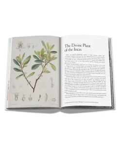 Assouline Bücher Und Bildbände|Bildband Cocaïn: History & Culture