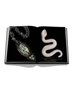 Assouline Bücher Und Bildbände|Bildband Codognato Masterpiece