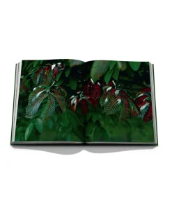 Assouline Bücher Und Bildbände|Bildband Expo 2020 Dubai: Terra-The Sustainability Pavilion