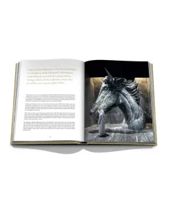 Assouline Bücher Und Bildbände|Bildband Expo 2020 Dubai: The Vision Pavilion