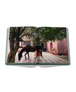 Assouline Travel Books Von Assouline|Bücher Und Bildbände|Bildband Punta del Este