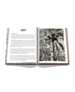 Assouline Bücher Und Bildbände|Bildband Saudi Dates: A Portrait of the Sacred Fruit