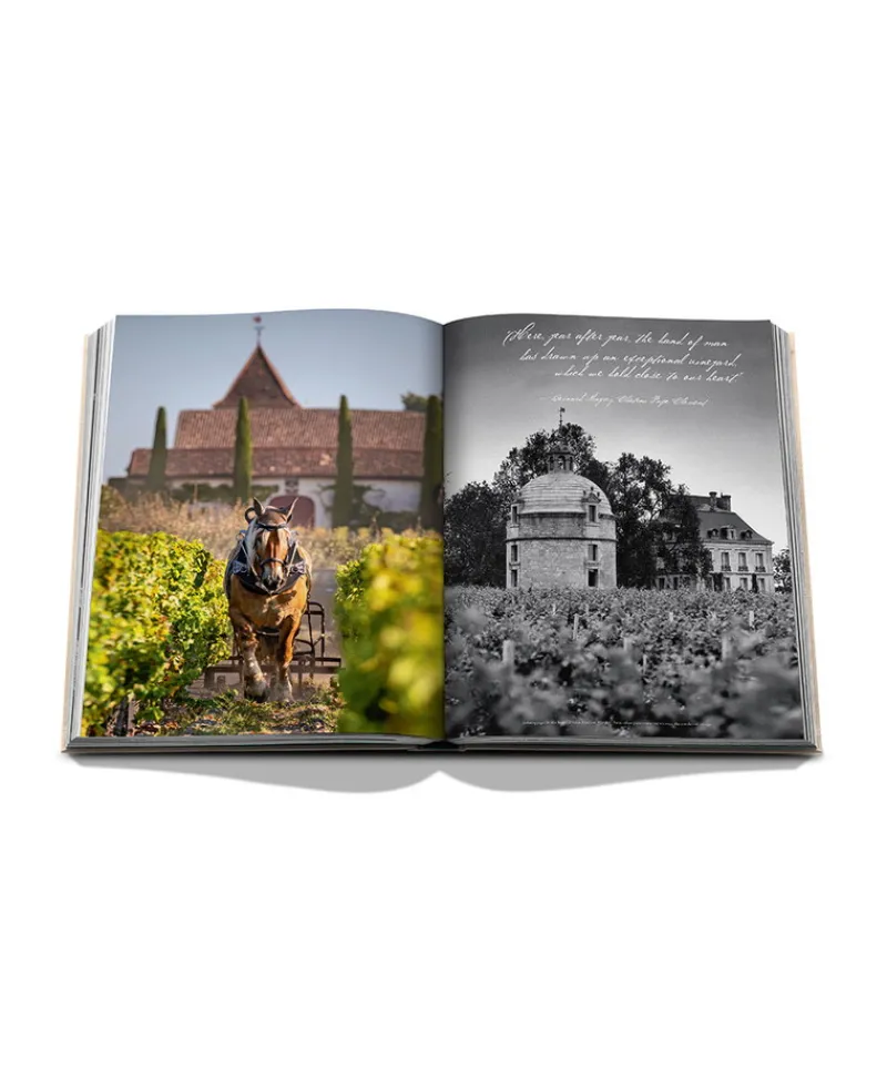 Assouline Bücher Und Bildbände|World Of Wine|Bildband Wine & Travel France
