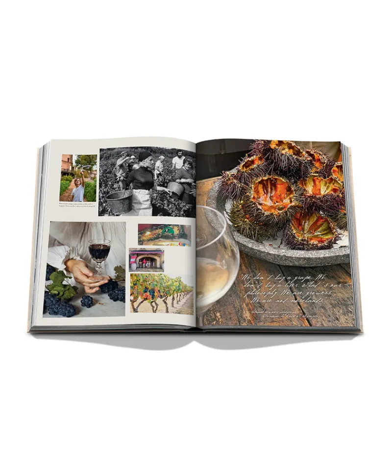 Assouline Bücher Und Bildbände|World Of Wine|Bildband Wine & Travel France