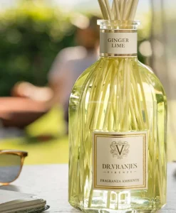 Dr. Vranjes Firenze Raumduft|Diffuser Ginger Lime