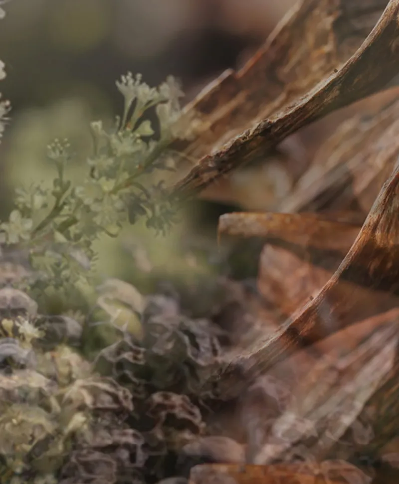 Dr. Vranjes Firenze Raumduft|Diffuser Milano