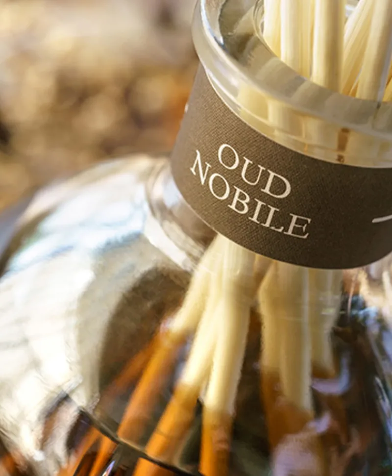 Dr. Vranjes Firenze Raumduft|Diffuser Oud Nobile