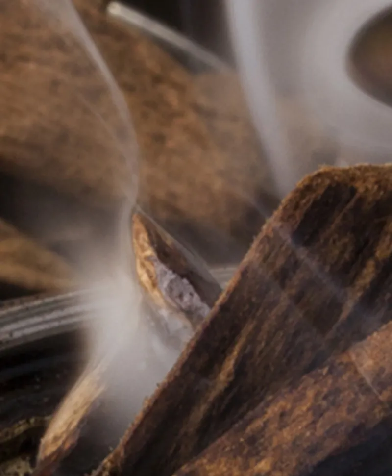 Dr. Vranjes Firenze Raumduft|Diffuser Oud Nobile