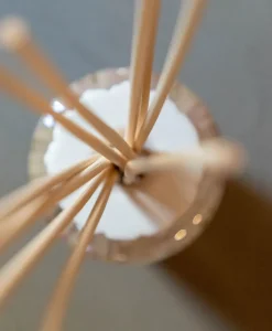 Baobab Collection Raumduft|Diffuser Stäbchen