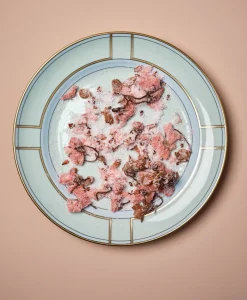 Ginori 1735 Porzellan|Teller|Diva Teller