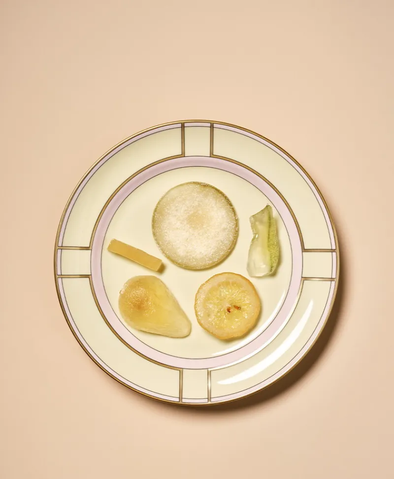 Ginori 1735 Porzellan|Teller|Diva Teller