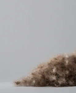 Mu00fchldorfer Bettdecken|Eiderdaunen Bettdecke