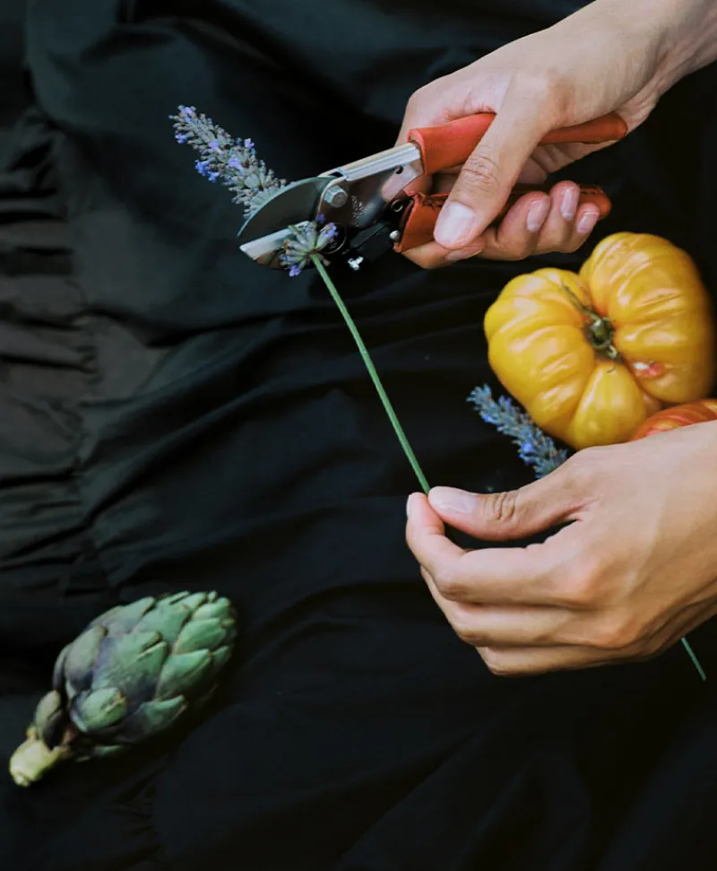 Chop Chop Bloom Tools Und Werkzeuge|Outdoor Accessoires|Gartenschere mit Ledergriff