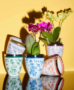 Sofina Porzellan Vasen|Handbemalte Porzellan Vase Chinese grün mit Platinrand