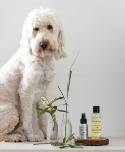 BONDI WASH Reinigungsmittel|Alles Fürs Haustier|Haustier-Lufterfrischer – KENNEL SPRAY