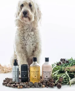 BONDI WASH Alles Fürs Haustier|Hunde Trockenshampoo - DRY DOG WASH