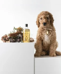 BONDI WASH Alles Fürs Haustier|Hundeshampoo - DOG WASH