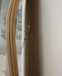 THE SKATEROOM Kunst Und Skulpturen|Kunstobjekt x Andy Warhol