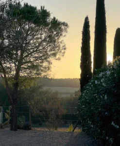 u00c9litis Teppiche|Outdoor Teppich Diego et Frida