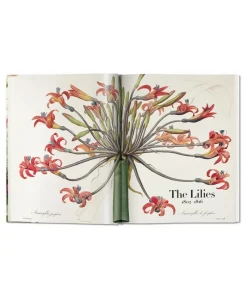 Taschen Verlag Bücher Und Bildbände|Redouté. Das Buch der Blumen