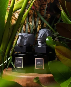 MABOU Raumduft|Refill - Sculptures of Alemee