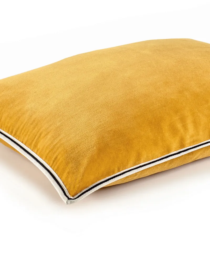 u00c9litis Kissen|Samtkissen Aristote mit Paspelveredelung