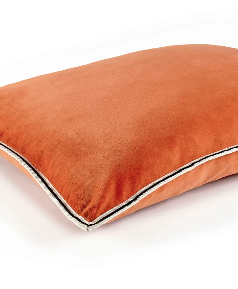 u00c9litis Kissen|Samtkissen Aristote mit Paspelveredelung