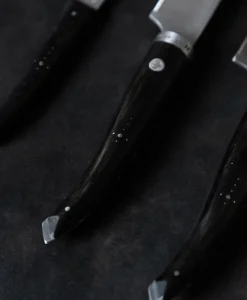 Laguiole en Aubrac Messer|Set aus 3 Küchenmessern "Gourmet"