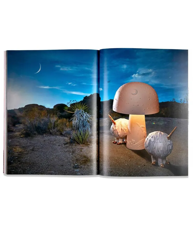 L'Objet Bücher Und Bildbände|Wild Things: Haas Brothers Buch